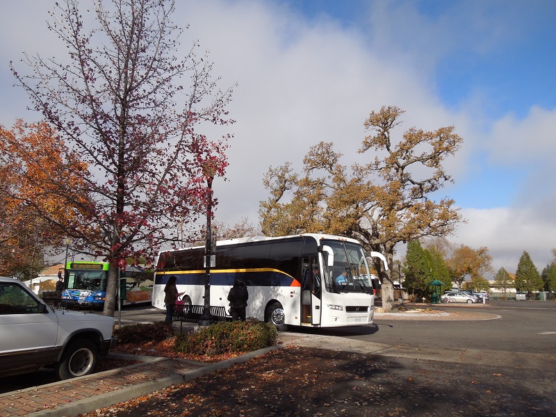 Photos of North County Transport Center Buses