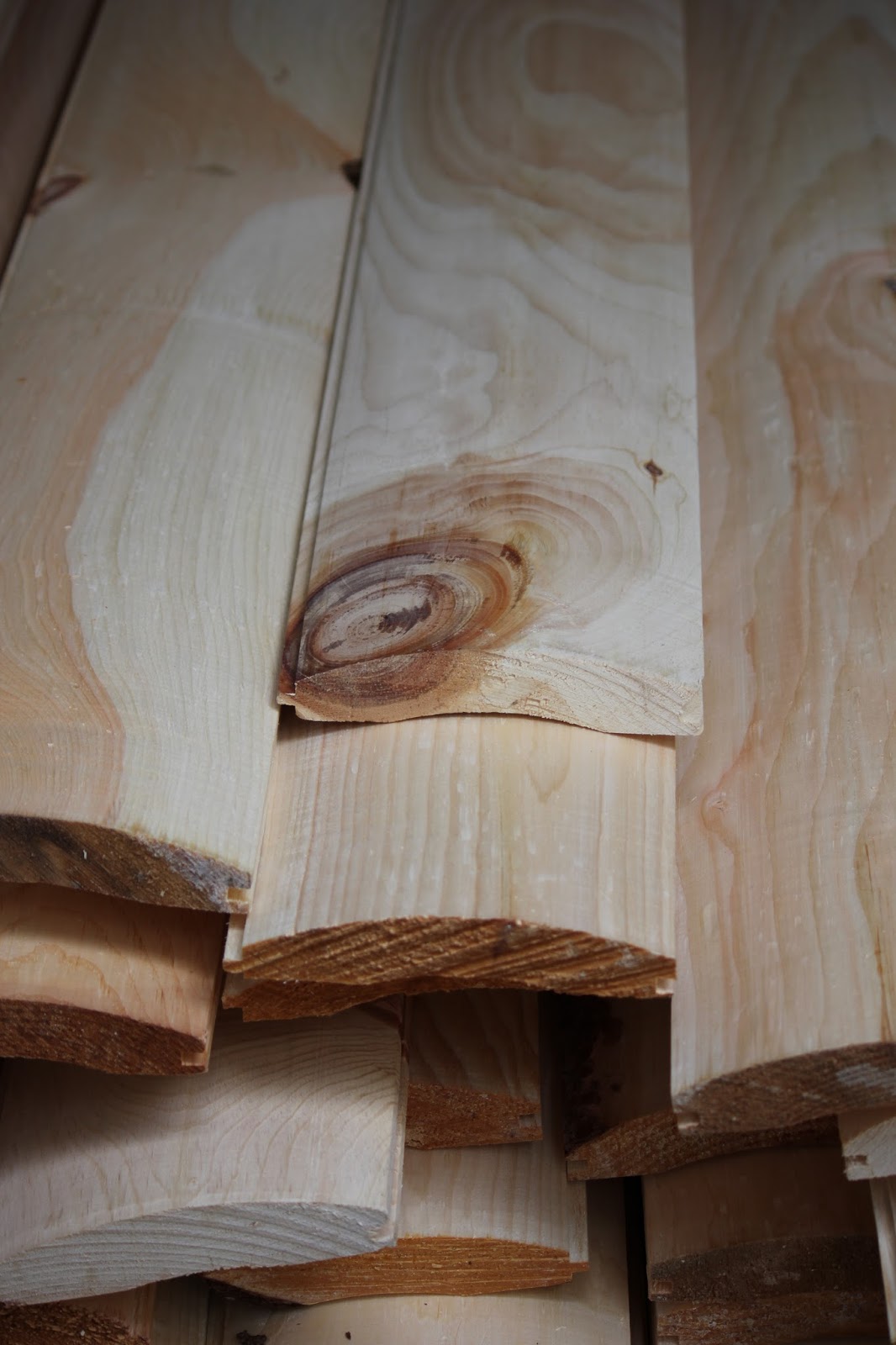 The Cabin Countess An Amish Sawmill