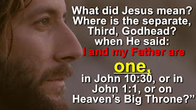 What did Jesus mean? & Where is the separate third Godhead when He said: I and my Father are one, in John 10:30, or in John 1:1, or on Heaven’s Big Throne?”