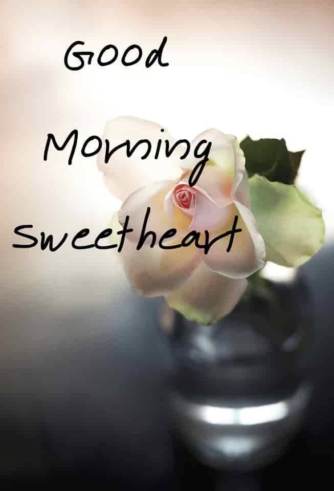 Good Morning Love Images for Girlfriend Free Download for Whatsapp