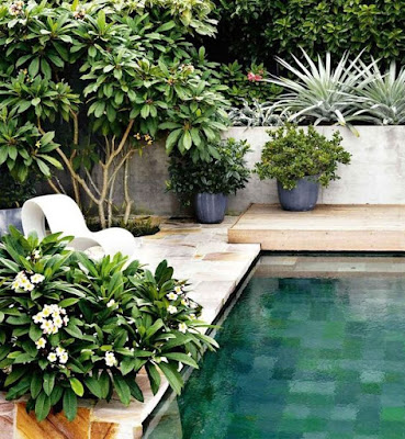 40 Inspirasi Desain Kolam Renang Minimalis 40 Inspirasi Desain Kolam Renang Minimalis