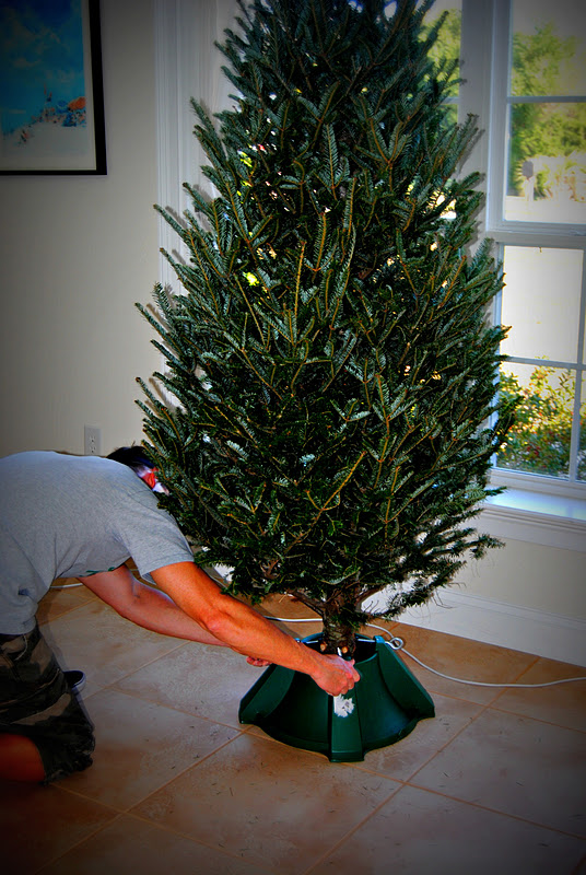 A Pair of Kings Oh, Christmas Tree