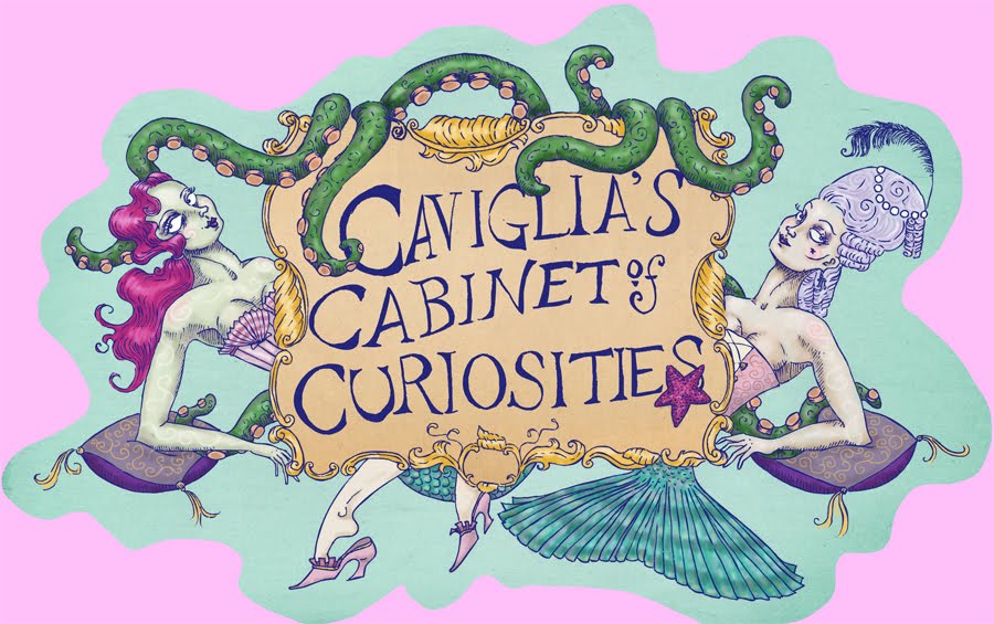 Caviglia's Cabinet of Curiosities