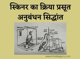 स्किनर का क्रिया प्रसूत अनुबंधन सिद्धांत skinner operant conditioning theory in hindi