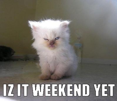 cat weekend