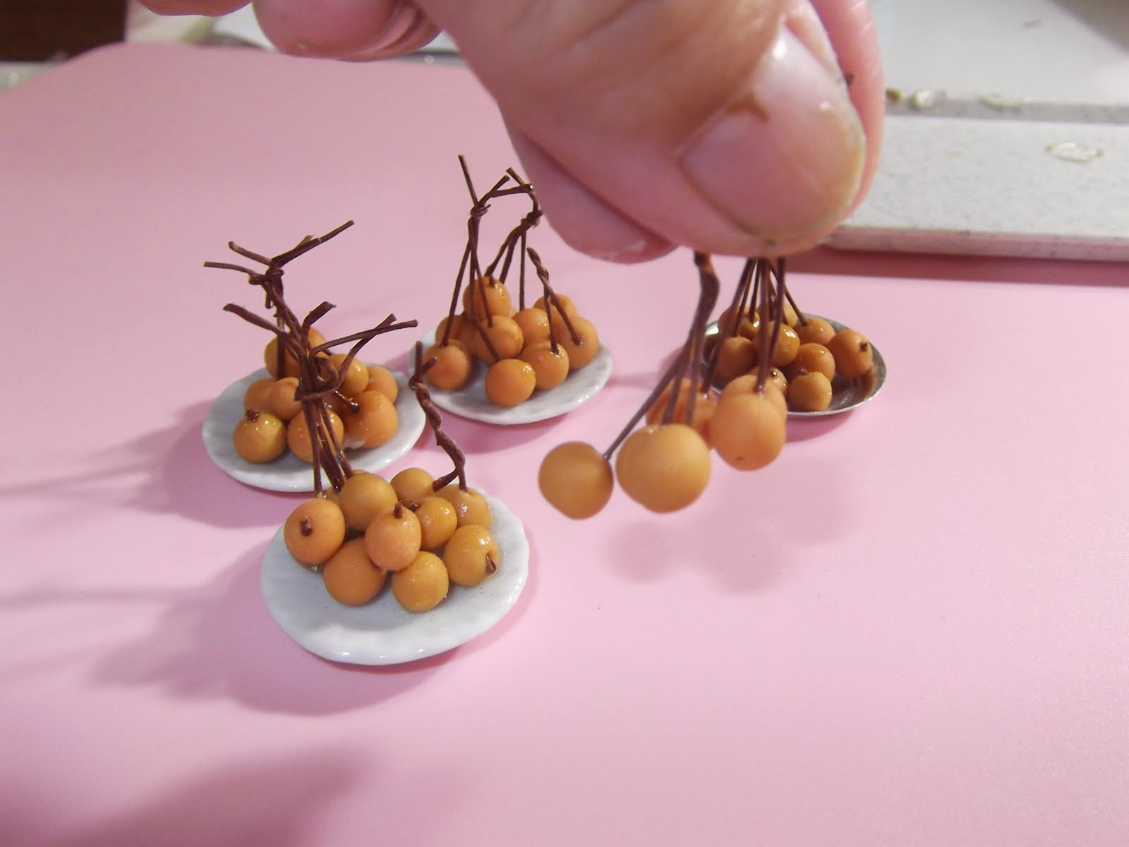 miniature longan