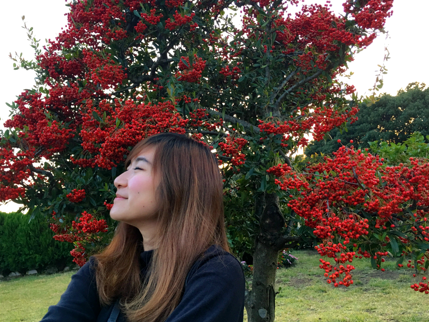 Perfume Project Nw Rave Camellias In December