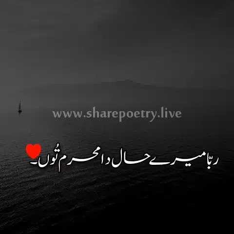 Rabba Mere Haal Da Mehram Tu-deep one line poetry