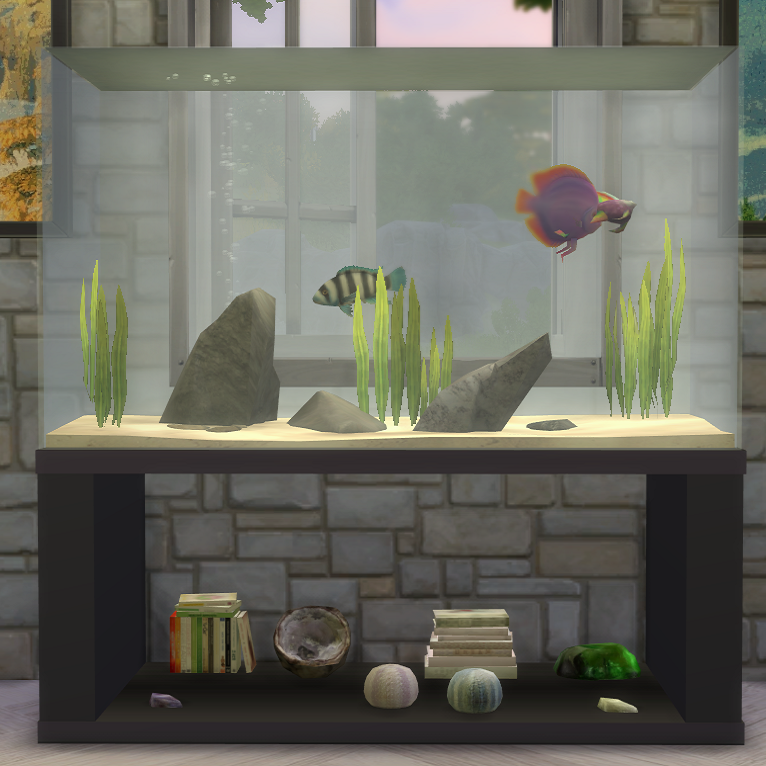 Aquarium Aquarium