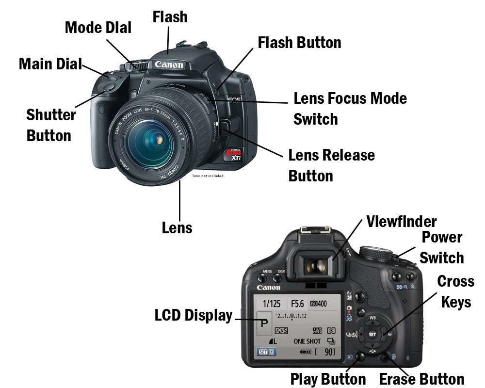 Update Technology News Details about SLR Digital Camera