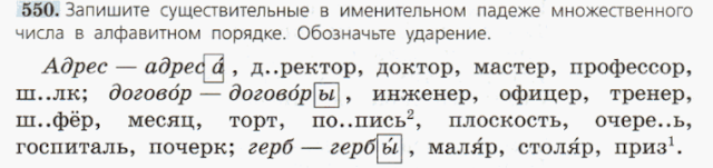 адрес директор доктор мастер