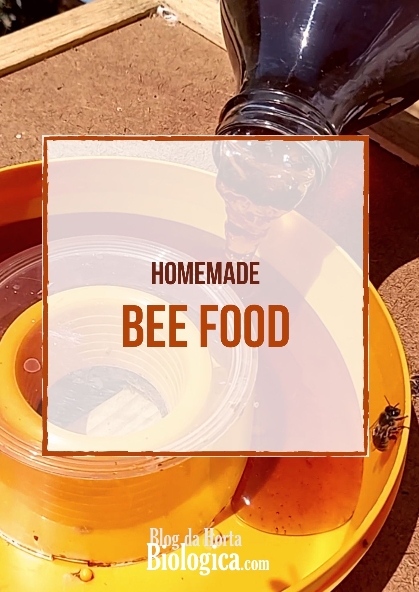 Feeding the bees is especially important right after the honey