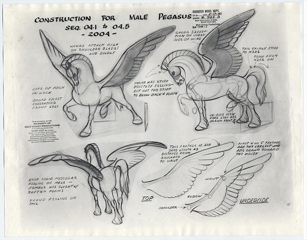 Крылья пегаса содержание. Пегас референс. Анатомия крыла Пегаса. Анатомия пони. Сложенные Крылья Пегаса.