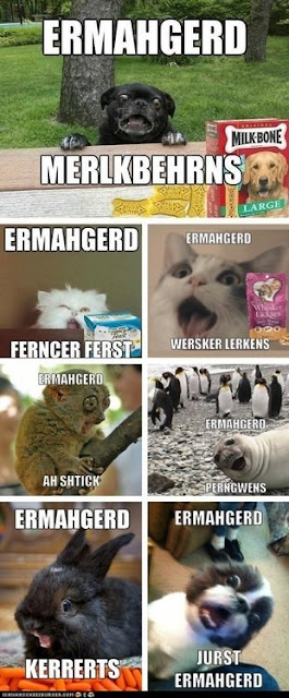 Ermahgerd www.hungergameslessons.com