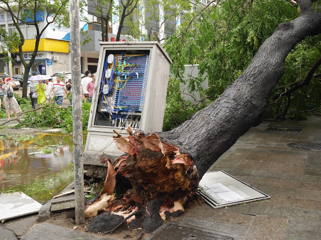 damage from Typhoon Hato at the Lianhua Road Pedestrian Street in Zhuhai, China