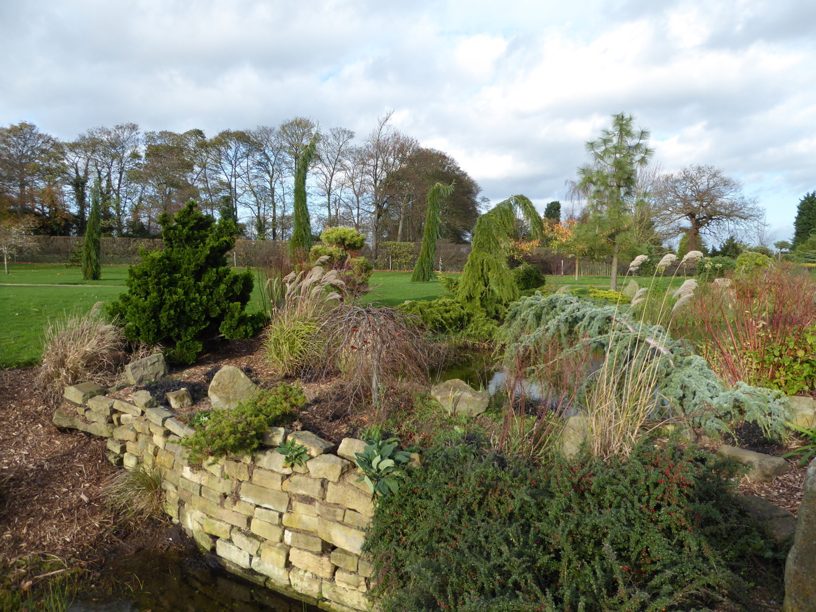 Galanthus Walkers Garden Centre, Doncaster, 16th November 2015