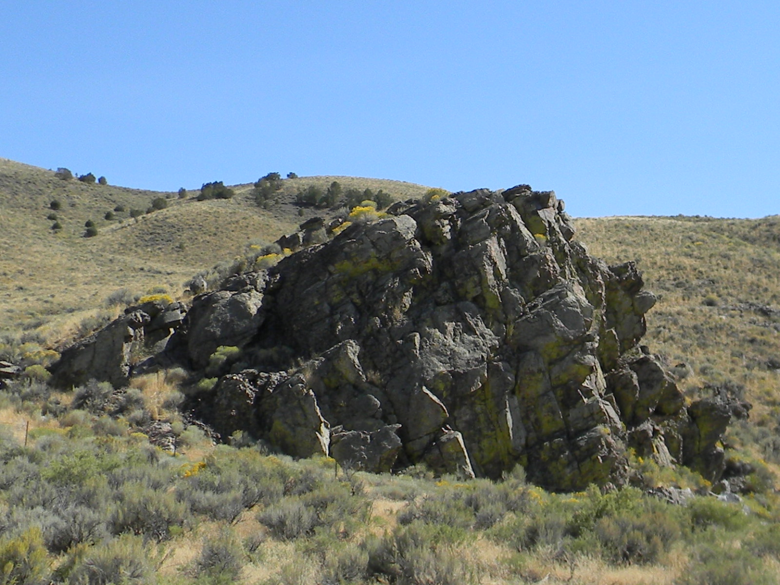 After the Trees: Nevada - Geology 101!