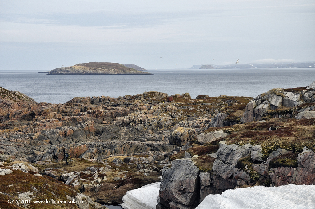 Остров харлов