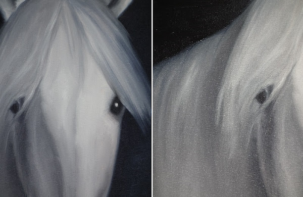 Portrait réaliste d'un cheval blanc. Le visage de l'animal est sur un fond bleu marine presque noir.
