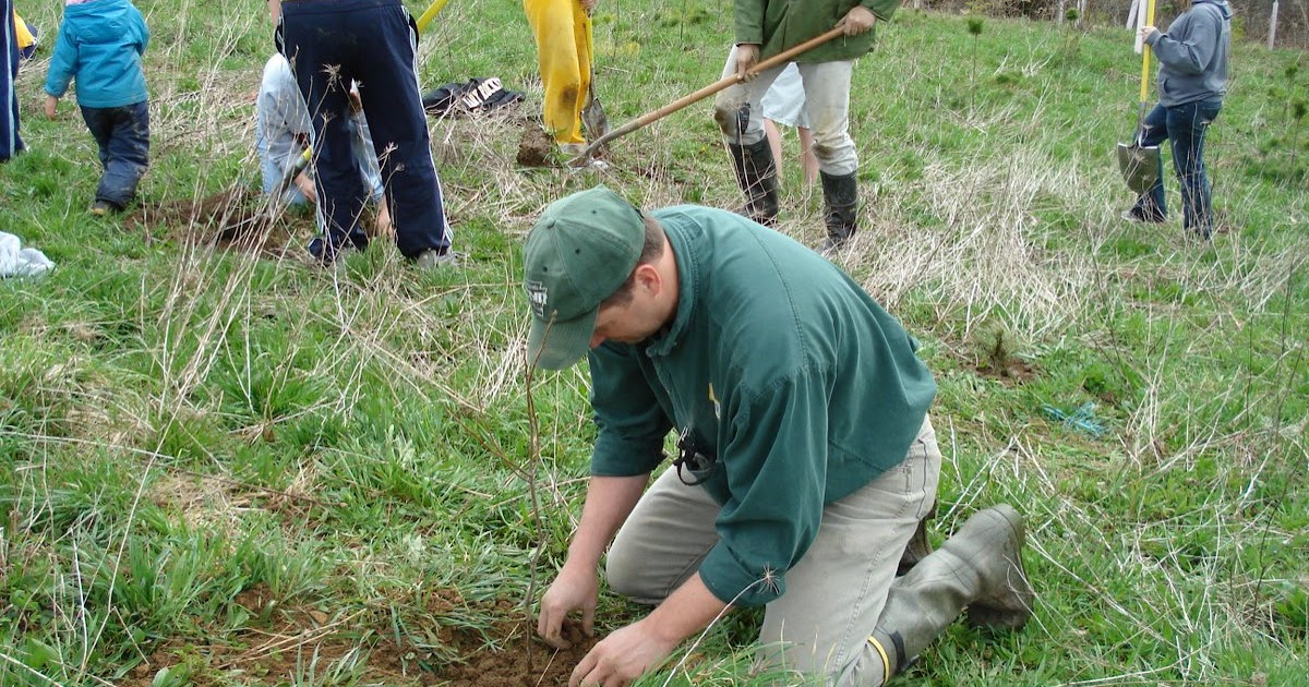 PA Environment Digest Blog DCNR Awards 13 Grants To Plant Trees Along Streams To Improve Water