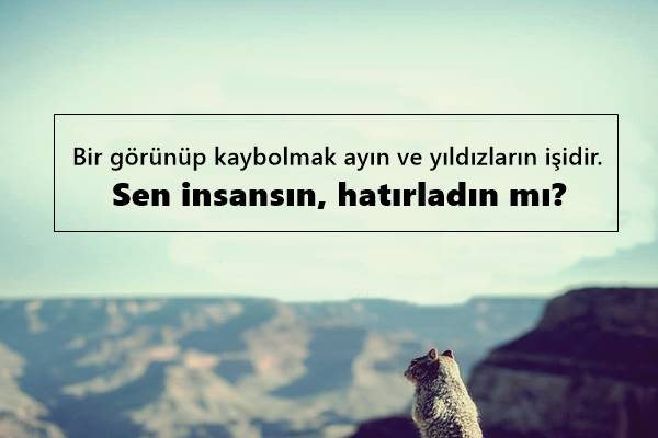 Kaybolup Gitmek İle İlgili Sözler Kaybolup Gitmek İle İlgili Sözler