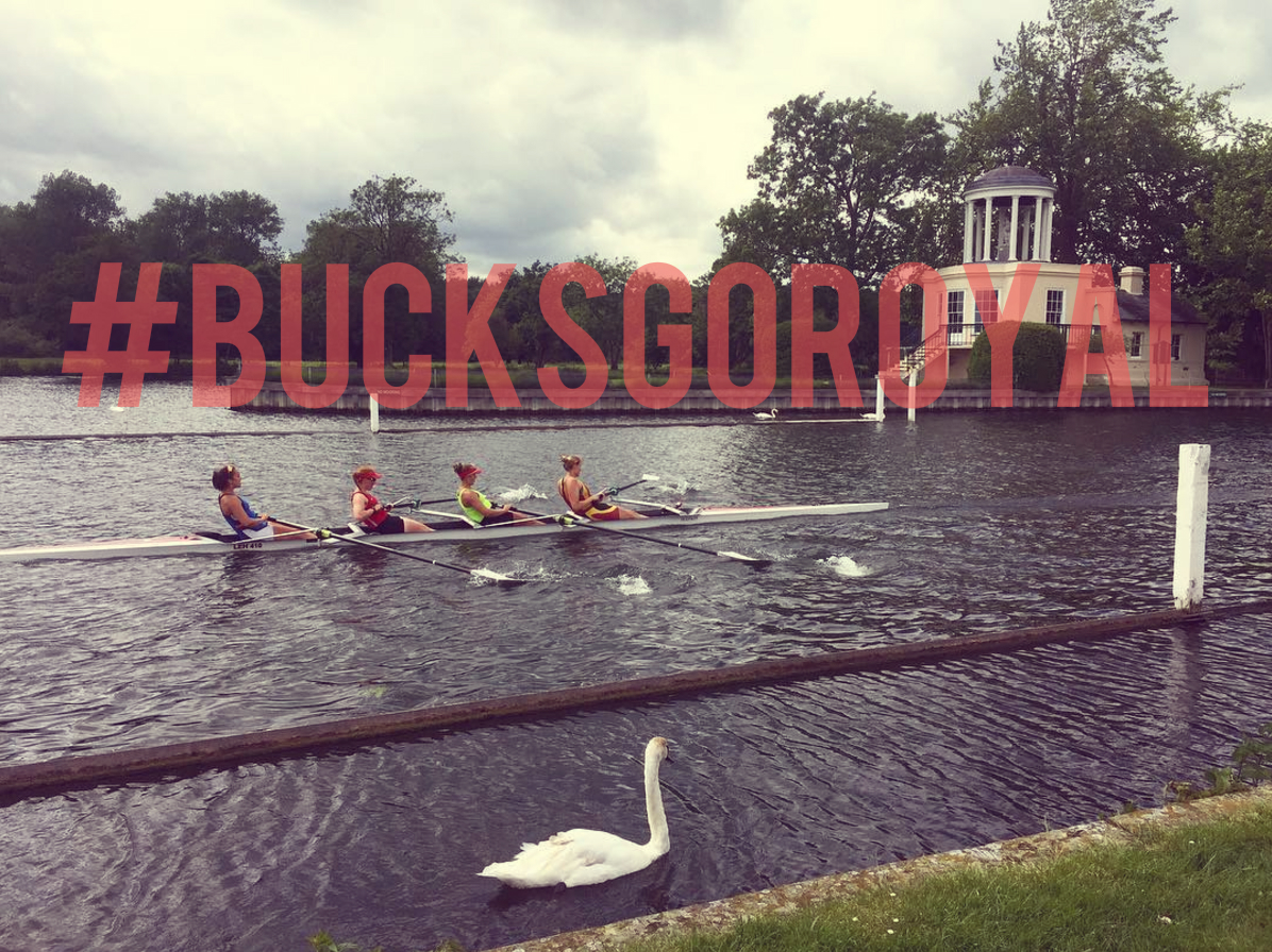 BucksGoRoyal The Ohio State Women's Rowing Team Takes on Henley