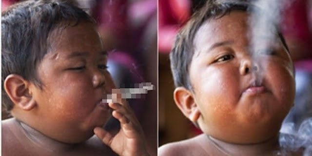 Ingat Si Per*kok Cilik Ardi Rizal? Beginilah Dia Sekarang Ingat Si Per*kok Cilik Ardi Rizal? Beginilah Dia Sekarang