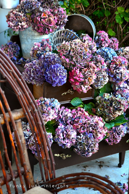 Learn how to arrange and dry hydrangeas inside a dresser... without wilting! Perfect for fall front porch decorating! Learn how to arrange and dry hydrangeas inside a dresser... without wilting! Perfect for fall front porch decorating!