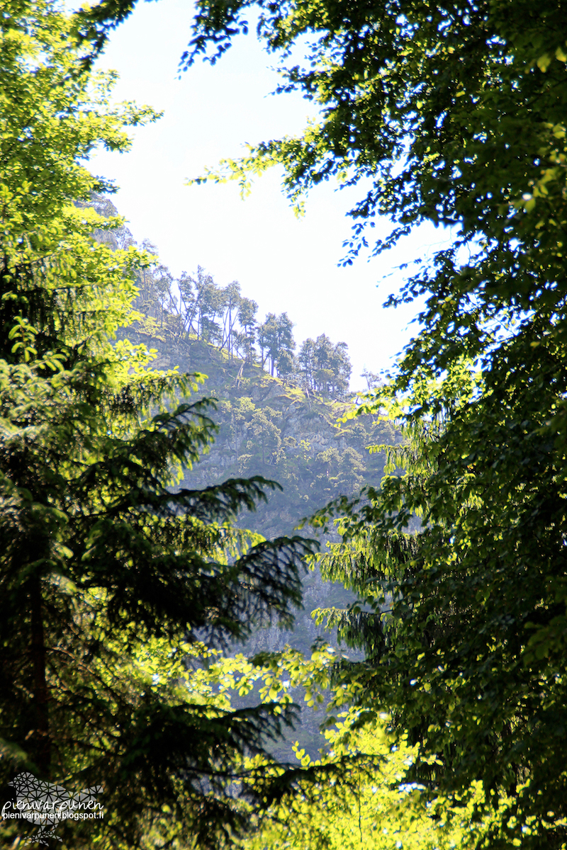 interrail-saksa-füssen-neuschwanstein-linna