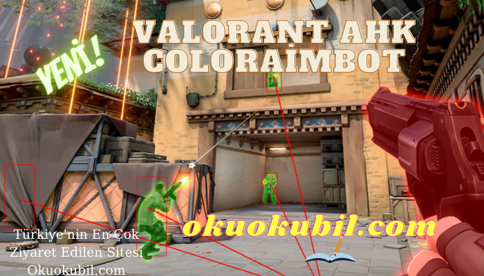 Valorant AHK Coloraimbot TriggerBot AimBot NoRecoil Hileli Son Sürüm 2021