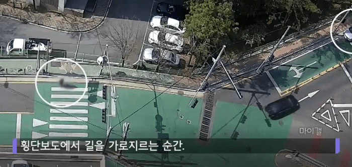 한 교통사고 속 끔찍한 내막