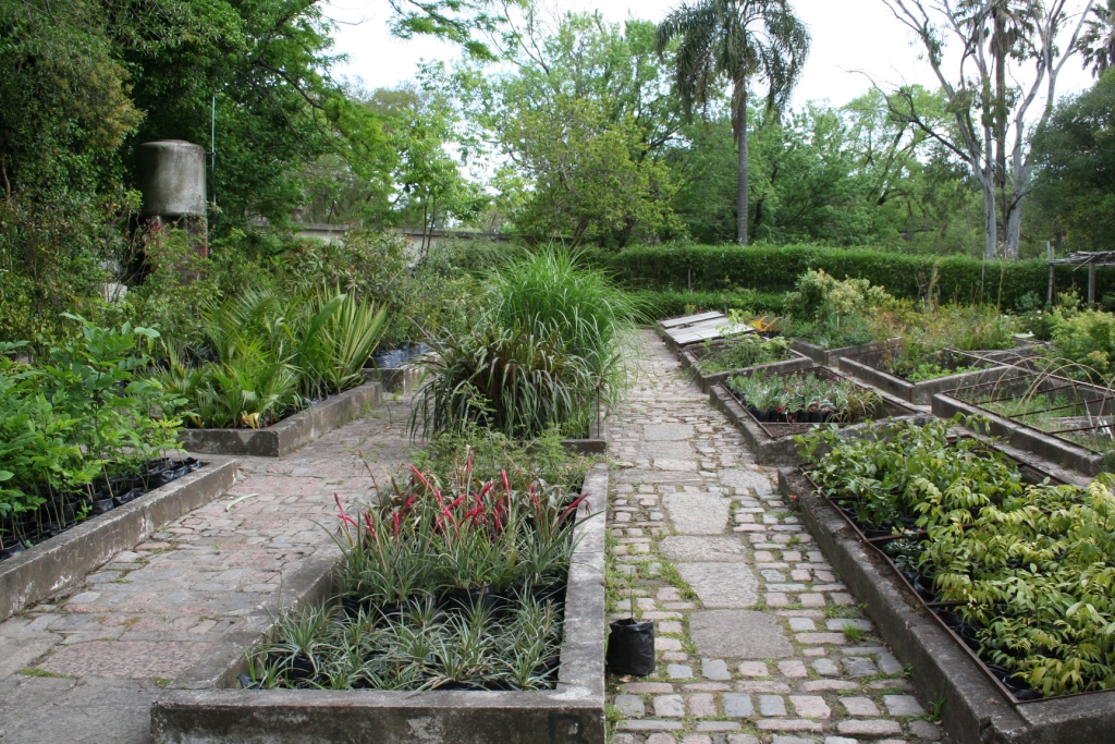 Proponen crear un Jardín Botánico en Sarandí del Yí: sería el primero del interior del país