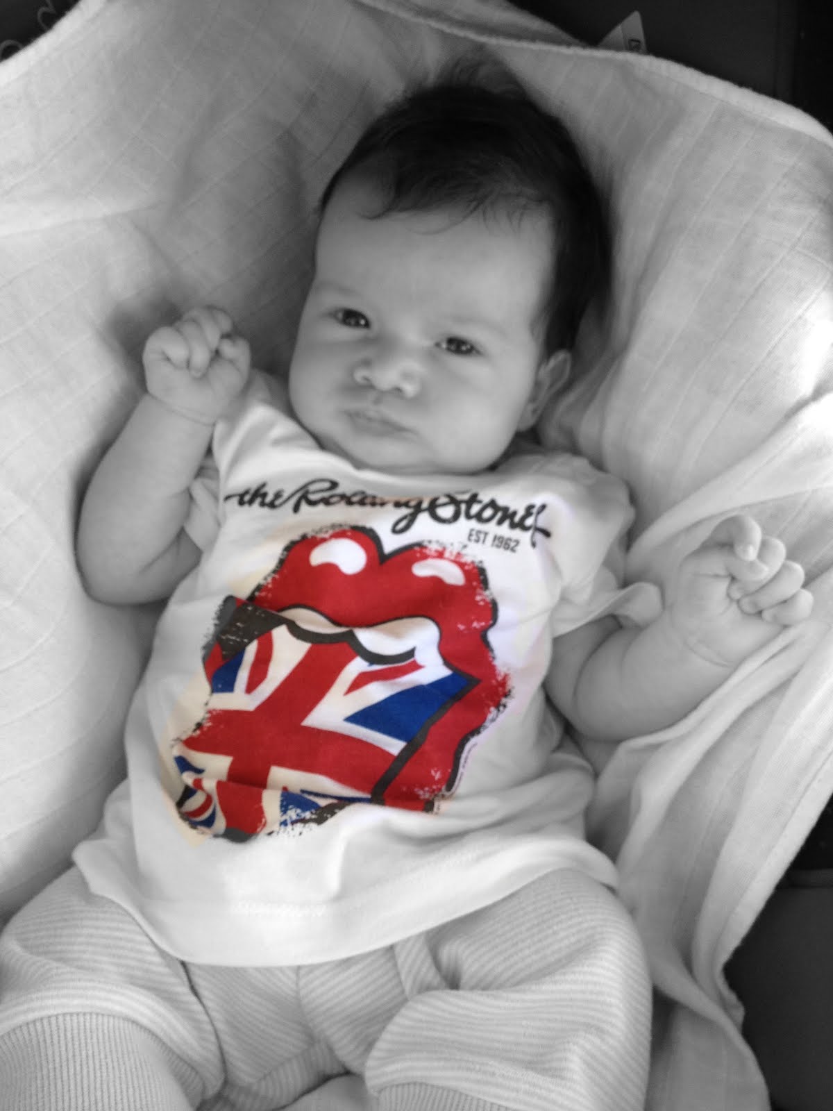 mint elephant in NİL Eylül 2012