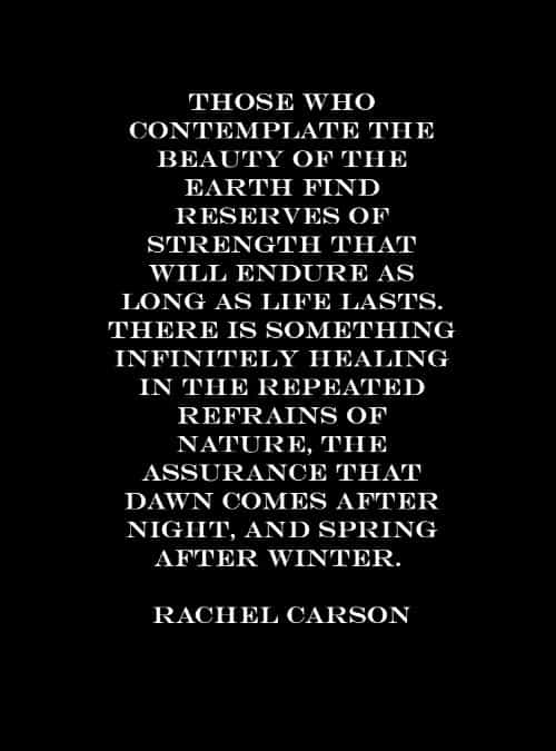 85 Nature quotes that'll inspire to love and value its beauty