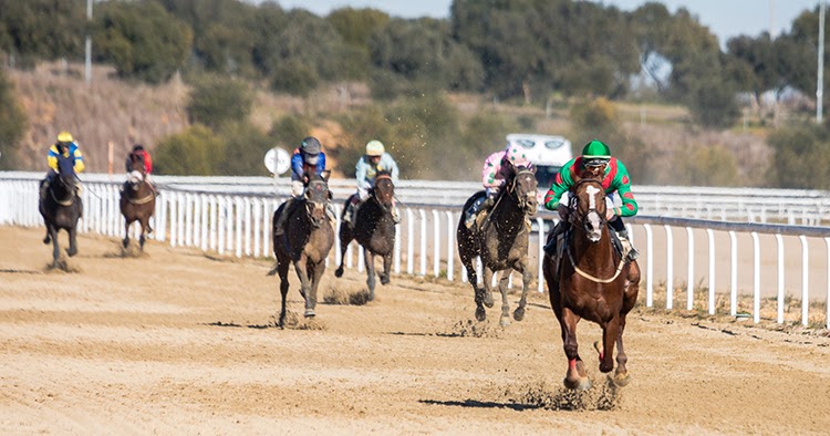 El Gran Hipódromo de Andalucía bate record de participación y celebrará