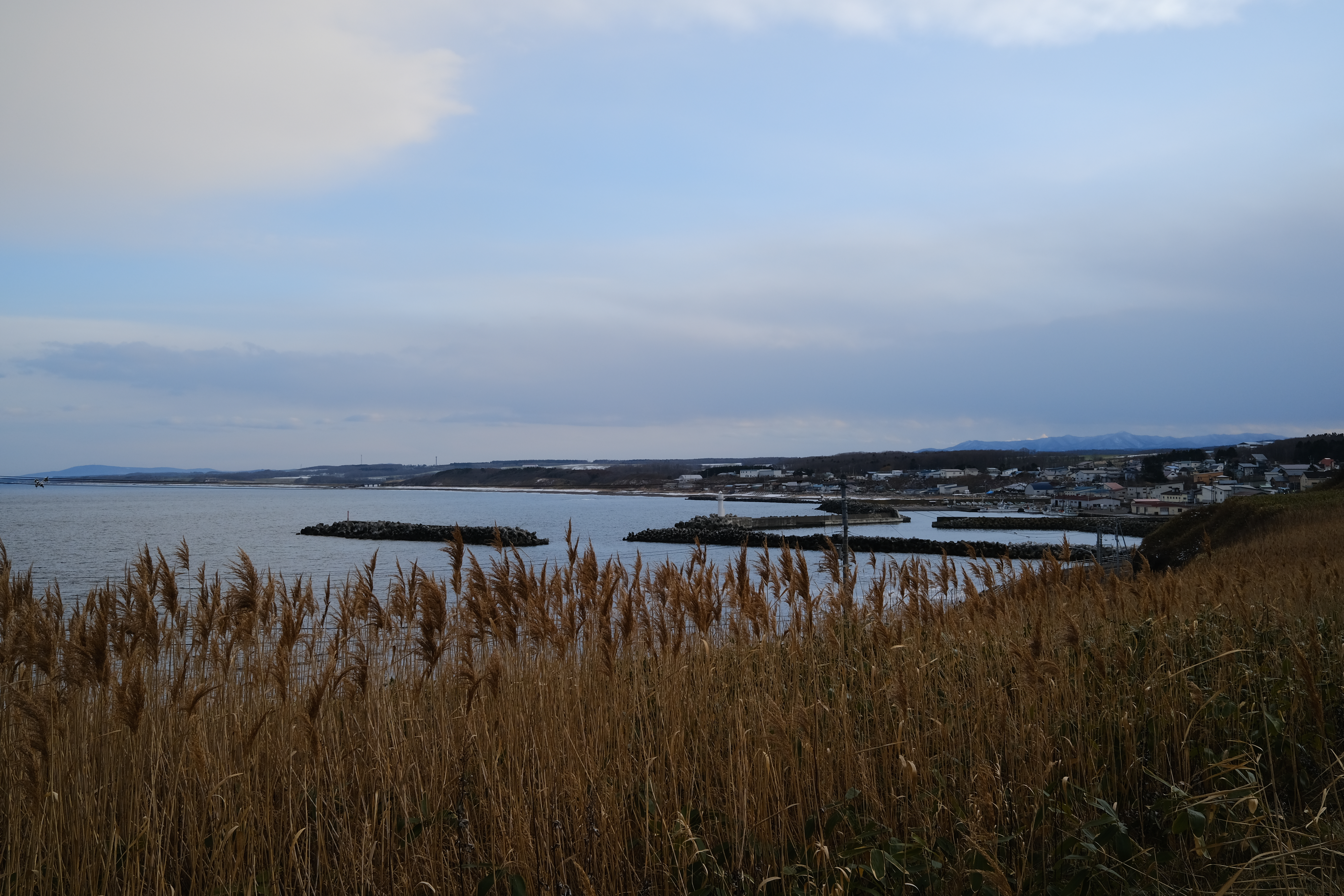 DSCF1344.JPG
