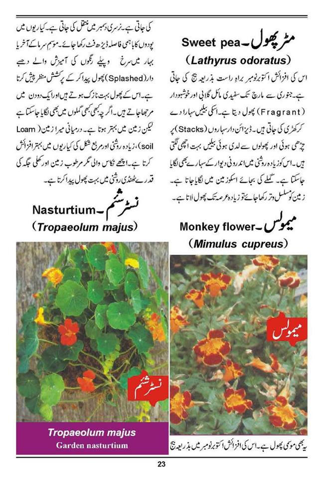 How to Grow Outdoor & Indoor Plants & Flowers Urdu Guide Noons.info