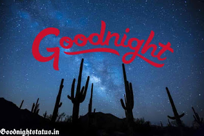 Good Night Image Good Night Image