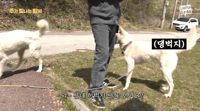 허벅지 근육 좋아하고 발로 만진 꿈틀이 먹는  김민아