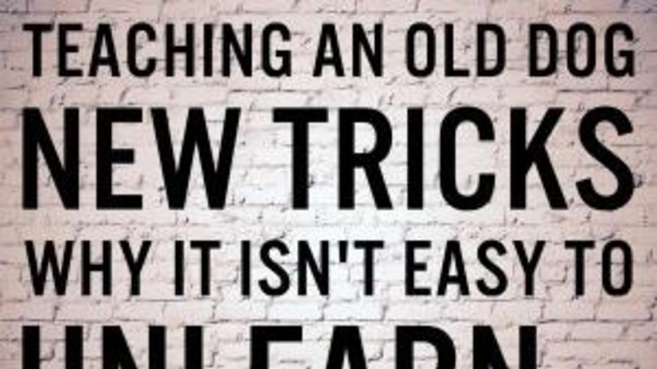 You can’t teach old dogs new tricks (Part 2 of 3) Project Isabella