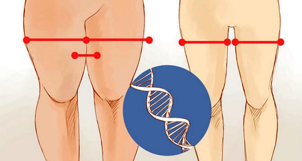 ¿POR QUÉ GRASA DEL MUSLO ES TAN DIFÍCIL DE PERDER Y LOS MEJORES CONSEJOS PARA ADELGAZAR ZONA DE GRAN ¿POR QUÉ GRASA DEL MUSLO ES TAN DIFÍCIL DE PERDER Y LOS MEJORES CONSEJOS PARA ADELGAZAR ZONA DE GRAN