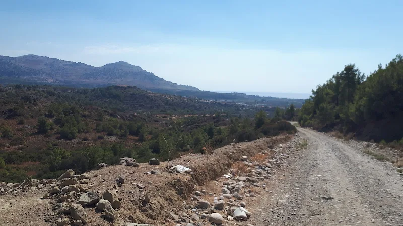 A valley up into the hills