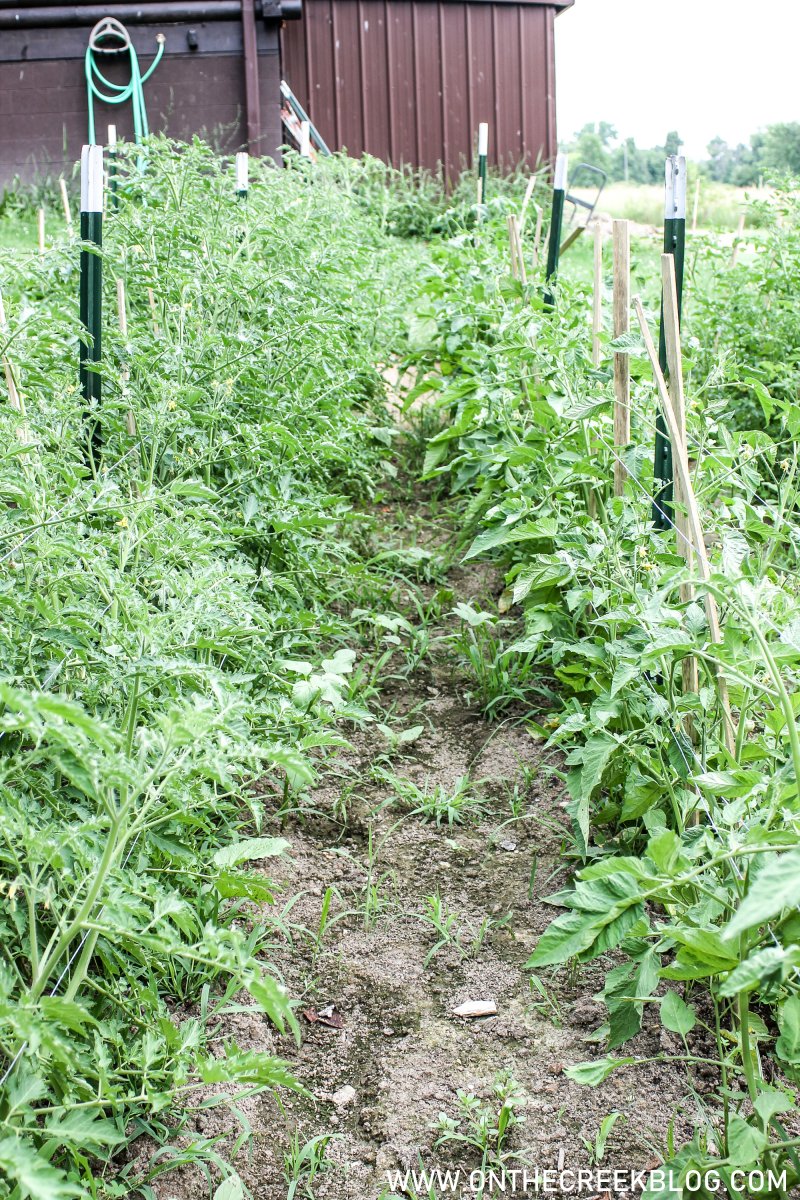 Building Trellis Supports For Tomato Plants | On The Creek Blog