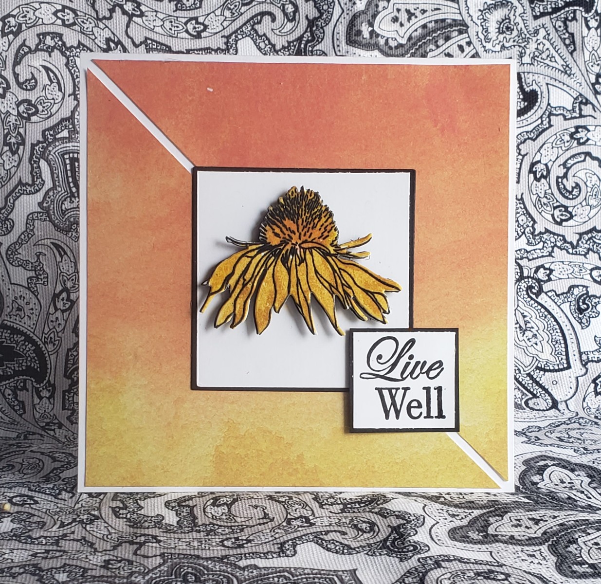 Beyond Just Black and White...paper crafting projects