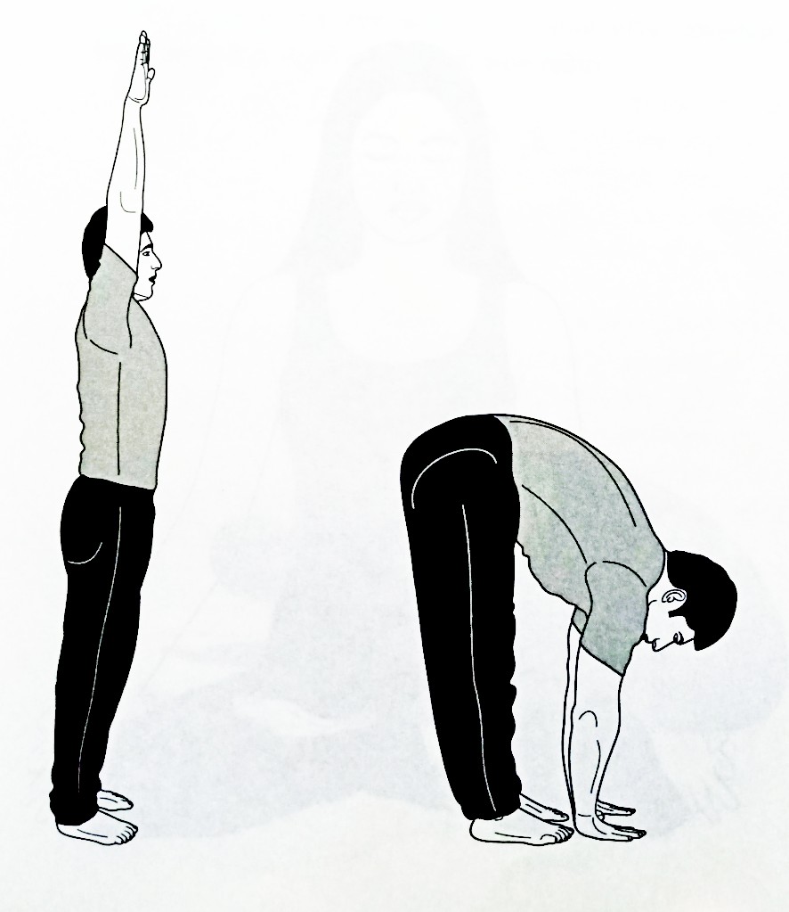 Paschimottanasana Deformity Paschimottanasana Deformity