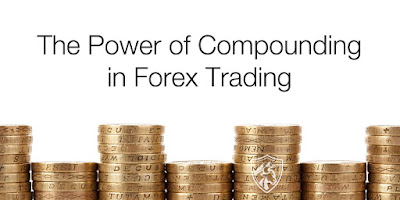 Percentage profit year forex