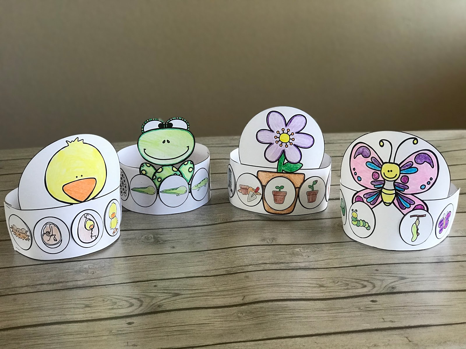 Life Cycle Hats (Frog, Butterfly, Chicken, Plant) Mrs. McGinnis' Little Zizzers