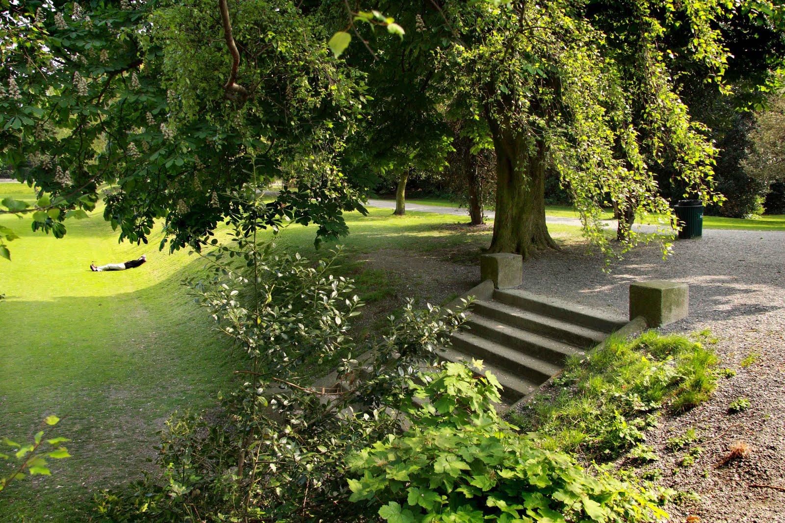 Survival Guide Dublin with Food Allergies Planning a Food Allergy Friendly Picnic in Dublin