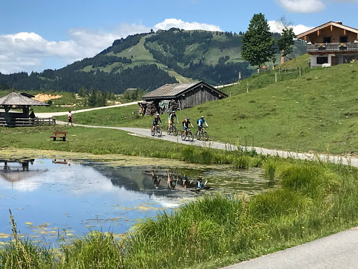 Mountainbiken in Saalbach