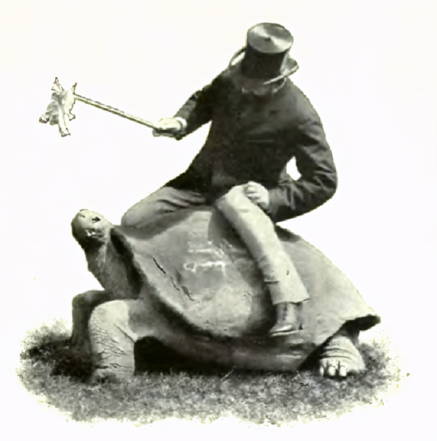 Лорд Ротшильд на гигантской черепахе
